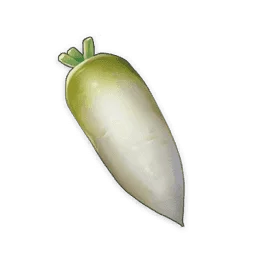 فجل