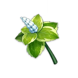 نعناع
