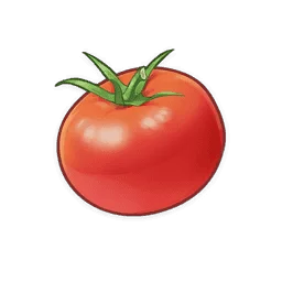 طماطم