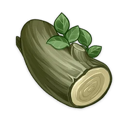 خشب البلوط المعنق