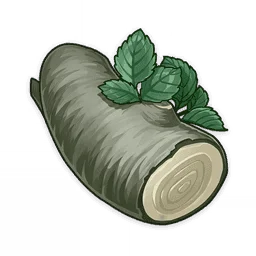 خشب الزان الأزرق